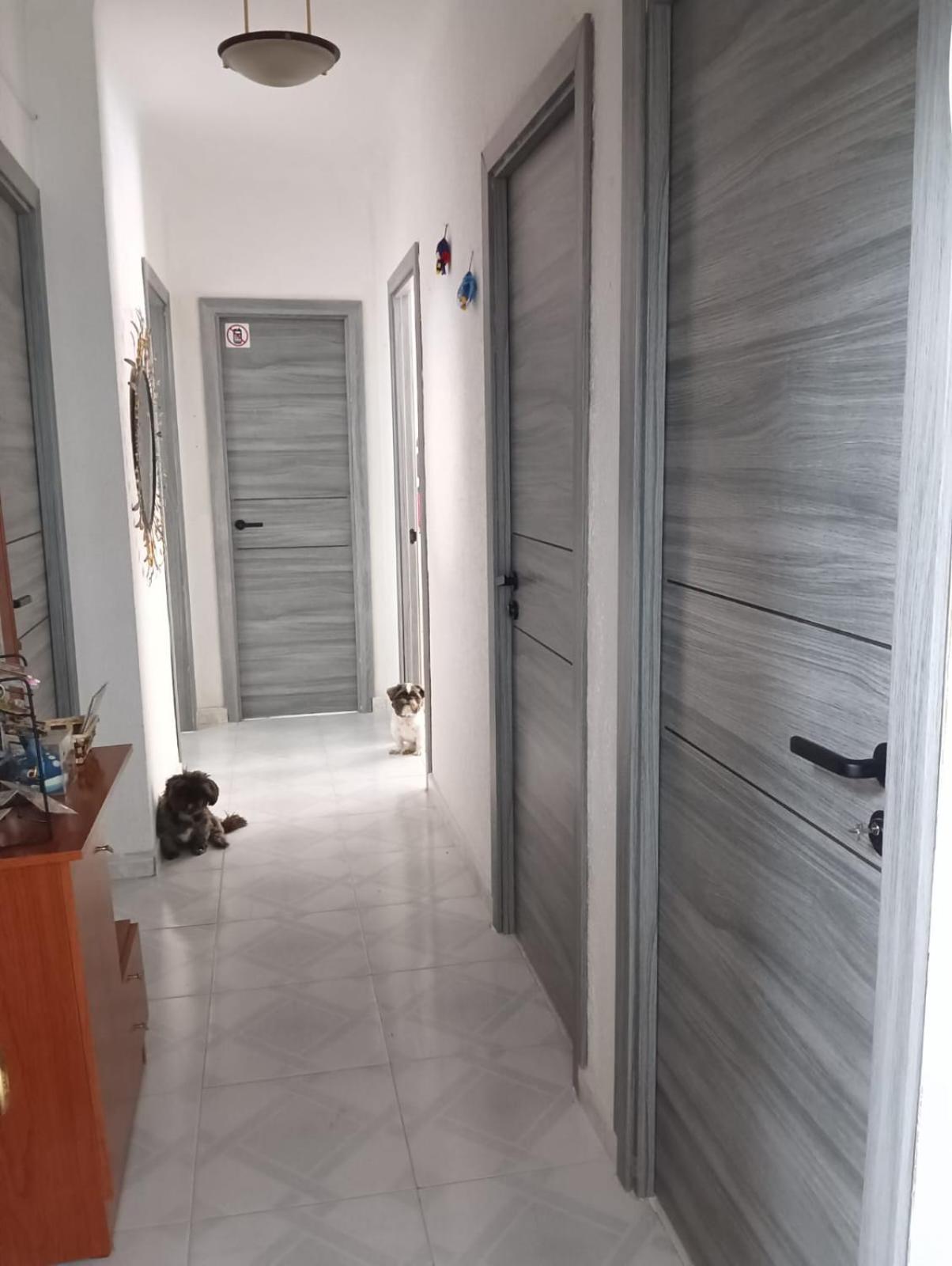 Alicante Habitacion Oasis ภายนอก รูปภาพ